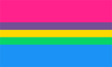 [Imagem: multi__pride_flag__4__by_pride_flags-d9cjitv.png]