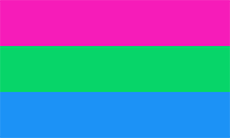 [Imagem: poly__pride_flag__1__by_pride_flags-d8zu7ww.png]