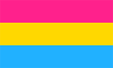 Bandeira pansexual, muitas vezes utilizada como bandeira pan