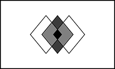 Bandeira com fundo branco, uma fina borda preta e um símbolo em seu centro. O símbolo é como se fossem três losangos semitransparentes com bordas pretas um ao lado do outro, onde as cores mudam com suas intersecções. Os dois losangos nas pontas são brancos, mas suas interseções com o losango cinza escuro no centro são cinzas em um tom médio, e a intersecção entre os três losangos - a qual forma também um losango - é preta.
