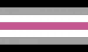 Bandeira librafeminina/mulher agênero
