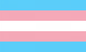 Bandeira composta por cinco faixas horizontais do mesmo tamanho, nas cores azul, rosa, branca, rosa e azul.