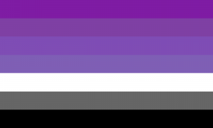 Bandeira mirsexual