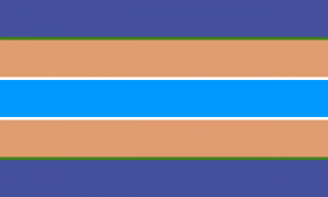 Bandeira novissexual, também utilizada como bandeira novi no geral