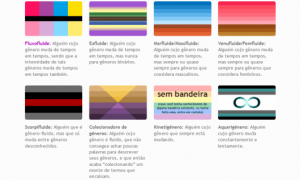 Uma captura de tela parcial da lista de identidades não-binárias.