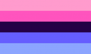 Retângulo composto por cinco faixas horizontais do mesmo tamanho, nas cores rosa clara, rosa, roxa escura, azul e azul clara.