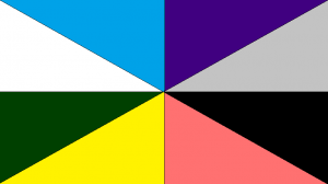 Retângulo composto por oito triângulos, formados por um fino asterisco preto que corta a bandeira de pontas a pontas. Começando do canto superior direito, temos, em sentido horário, as cores roxa, cinza clara, preta, salmão, amarela, verde escura, branca e azul céu.