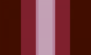Descrição da imagem: Um retângulo composto por diversas faixas vermelho-rosadas em tons e tamanhos diferentes. A bandeira é simétrica e imita um degradê, de forma que a faixa no centro da bandeira é mais clara e as das pontas são mais escuras.