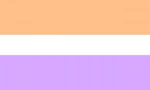 Um retângulo dividido em três faixas: uma laranja clara, uma branca e uma roxa clara. A faixa do meio é menor do que as outras.