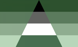 Bandeira caligorromântica: um triângulo apontado para cima nas cores preta, cinza, branca e verde com fundo em quatro tons de verde.