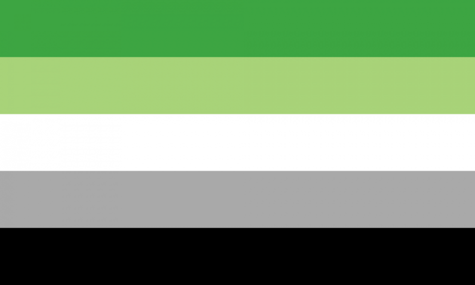 Bandeira arromântica: 5 faixas horizontais de mesmo tamanho nas cores verde, verde clara, branca, cinza e preta.