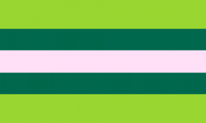 Retângulo composto por 5 faixas horizontais, na proporção 9:7:7:7:9, cujas cores são verde, turquesa escura, cinza clara, turquesa escura e verde.