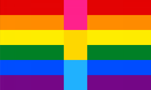 Bandeira arco-íris de seis cores (vermelha, laranja, amarela, verde, azul e roxa). Em seu centro, as duas faixas de cima são interrompidas por uma faixa magenta, as duas faixas centrais são interrompidas por uma faixa amarela e as duas faixas inferiores são interrompidas por uma faixa azul clara, formando uma fatia de uma bandeira pan.