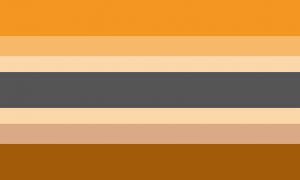 Sete faixas horizontais, nas cores laranja, laranja clara, creme, cinza escura, creme, marrom clara e marrom. A proporção das faixas é 7:4:3:7:3:4:7.