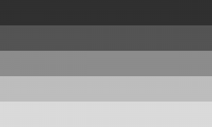 Bandeira Níxica