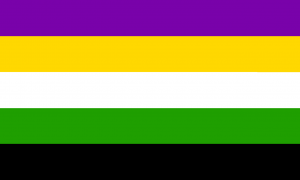 Retângulo composto por 5 faixas horizontais do mesmo tamanho, nas cores roxa, amarela, branca, verde e preta.