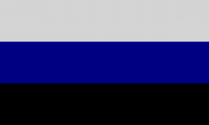 Três faixas horizontais do mesmo tamanho, nas cores cinza clara, azul escura e preta.