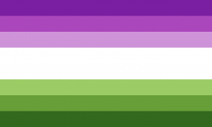 Uma bandeira de 7 faixas, nas cores roxa escura, roxa, roxa clara, branca, verde clara, verde e verde escura. A faixa branca é maior do que as outras.