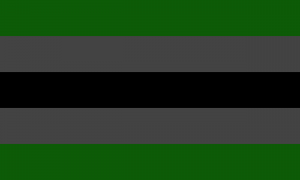 Um retângulo composto por 5 faixas do mesmo tamanho, nas cores verde escura, cinza escura, preta, cinza escura e verde escura.