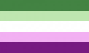 Retângulo composto por 5 faixas do mesmo tamanho, nas cores verde escura, verde clara, branca, roxa clara e roxa.