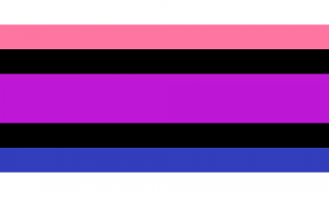 Retângulo composto por 7 faixas horizontais, nas cores branca, rosa, preta, roxa, preta, azul e branca. A faixa central roxa tem o dobro do tamanho das outras faixas.