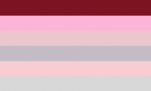Bandeira composta por seis faixas horizontais do mesmo tamanho, nas cores marrom avermelhada, rosa clara, salmão clara, cinza, salmão clara e cinza clara.