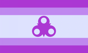 Retângulo composto por 5 faixas horizontais, na proporção 1:1:3:1:1, nas cores violeta, violeta leve, azul clara, violeta leve e violeta. No centro da faixa central, há um símbolo, composto por um triângulo violeta de onde saem três círculos sem preenchimento, um para cada lado do triângulo.
