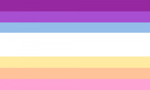 Retângulo dividido em sete faixas horizontais, sendo que a central tem o dobro do tamanho das outras. As cores das faixas são magenta escura, lilás escura, azul pálida, branca, amarela clara, laranja clara e rosa.