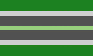 Retângulo composto por faixas horizontais, cujas proporções aproximadas são 29:14:27:10:27:14:29, nas cores verde, cinza clara, cinza escura, verde clara, cinza escura, cinza clara e verde.