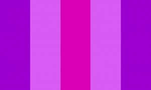 Retângulo composto por 5 faixas verticais, nas cores roxa, roxa clara, rosa, roxa clara e roxa.