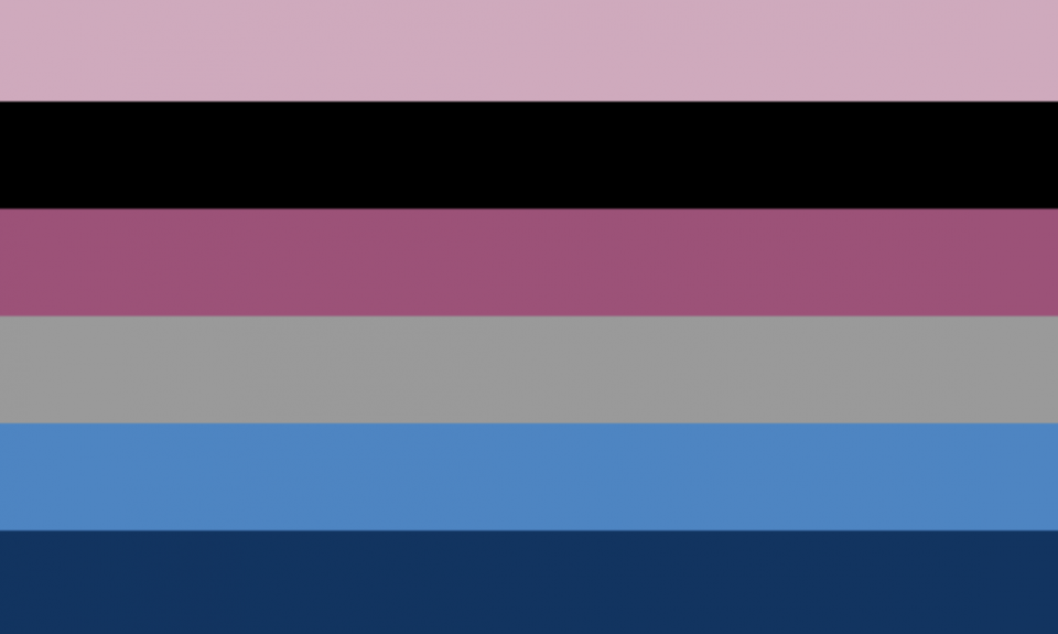 Retângulo composto por seis faixas horizontais do mesmo tamanho, nas cores rosa clara, preta, rosa, cinza, azul e azul escura. As cores são pouco saturadas.