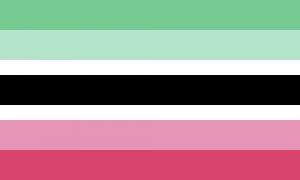 Retângulo composto por 7 faixas horizontais, nas cores verde, verde clara, branca, preta, branca, rosa clara e rosa. As faixas brancas possuem a metade do tamanho das outras faixas.