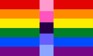 Bandeira arco-íris de seis faixas horizontais, interrompida no meio por uma faixa vertical contendo as cinco faixas da bandeira omni: rosa clara, rosa, roxa escura, índigo e azul.