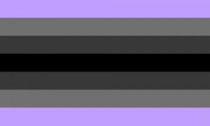 Retângulo composto por sete faixas horizontais, nas cores roxa clara, cinza, cinza escura, preta, cinza escura, cinza e roxa clara.