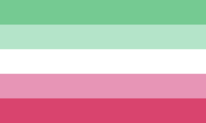 Retângulo composto por cinco faixas horizontais, nas cores turquesa, turquesa clara, branca, rosa clara e rosa.