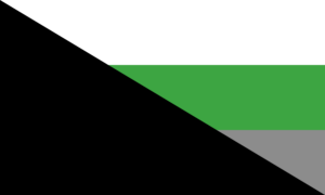 Retângulo onde sua metade do canto superior esquerdo até o canto inferior direito é coberta por um triângulo preto. O resto da bandeira é dividida em três faixas horizontais do mesmo tamanho, nas cores branca, verde e cinza.