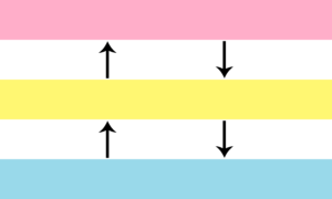 Retângulo separado em cinco faixas horizontais do mesmo tamanho, nas cores rosa, branca, amarela, branca e azul. Flechas pretas viradas para cima estão localizadas após um terço de cada faixa branca, e flechas iguais mas viradas para baixo estão localizadas após dois terços das mesmas faixas.