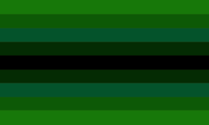 Bandeira dividida em 9 faixas horizontais simétricas do mesmo tamanho. Elas possuem as cores verde, verde escura, turquesa escura, verde floresta, preta, verde floresta, turquesa escura, verde escura e verde.