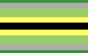 Retângulo composto por faixas horizontais numa proporção aproximada de 3:6:9:6:7:6:9:6:3. Suas nove faixas são simétricas e possuem as cores verde, cinza, verde clara, amarela, preta, amarela, verde clara, cinza e verde.