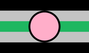 Retângulo dividido em cinco faixas horizontais, nas cores preta, cinza, verde, cinza e preta. No centro, ocupando o espaço vertical de três faixas, há um círculo rosa com contorno preto.