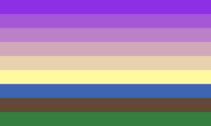 Nove faixas horizontais do mesmo tamanho. As seis primeiras formam uma espécie de degradê de uma cor roxa vibrante até um tom claro da cor amarela. As três faixas embaixo possuem as cores azul, marrom e verde.