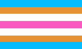 Retângulo composto por sete faixas horizontais, nas cores azul, laranja escura, branca, rosa, branca, laranja escura e azul.