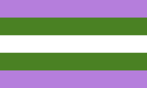 Retângulo composto por cinco faixas horizontais, nas cores lavanda, verde, branca, verde e lavanda